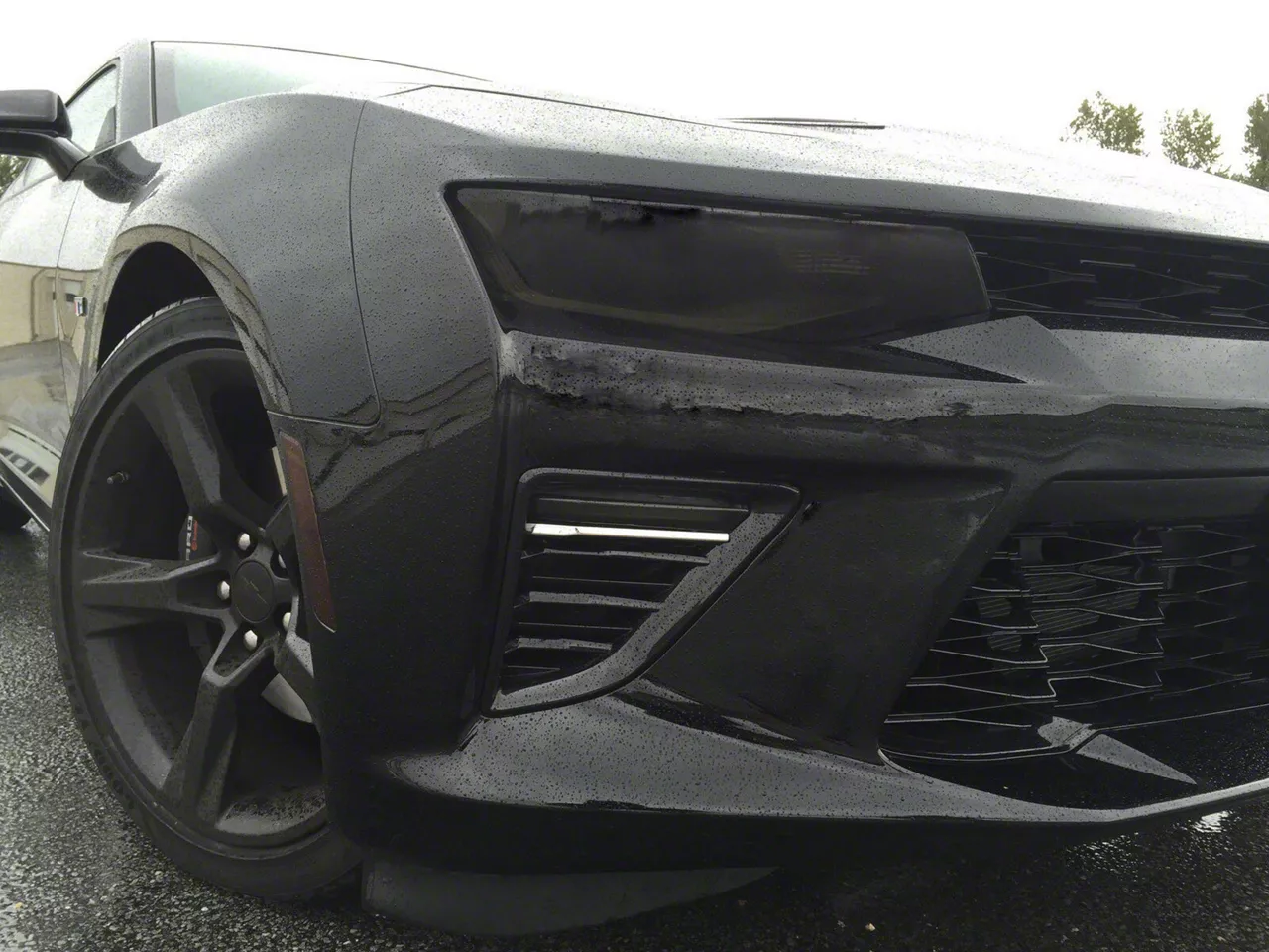Front Lens Vinyl Tint Kit (16-18 Camaro SS)