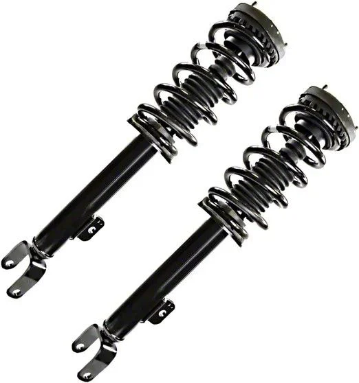 Front Strut and Spring Assemblies (2011 Challenger R/T)