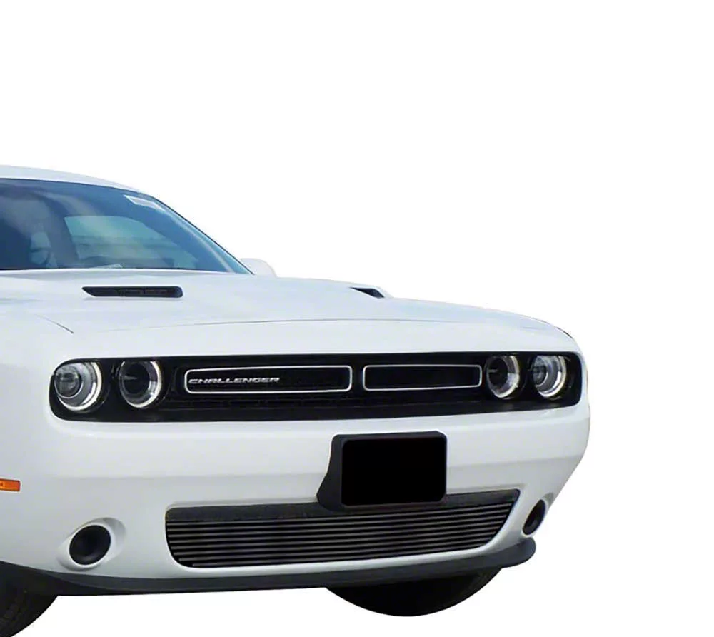 Stainless Steel Billet Lower Grille; Black (15-23 Challenger w/o Adaptive Cruise Control, Excluding SRT & Widebody Models)