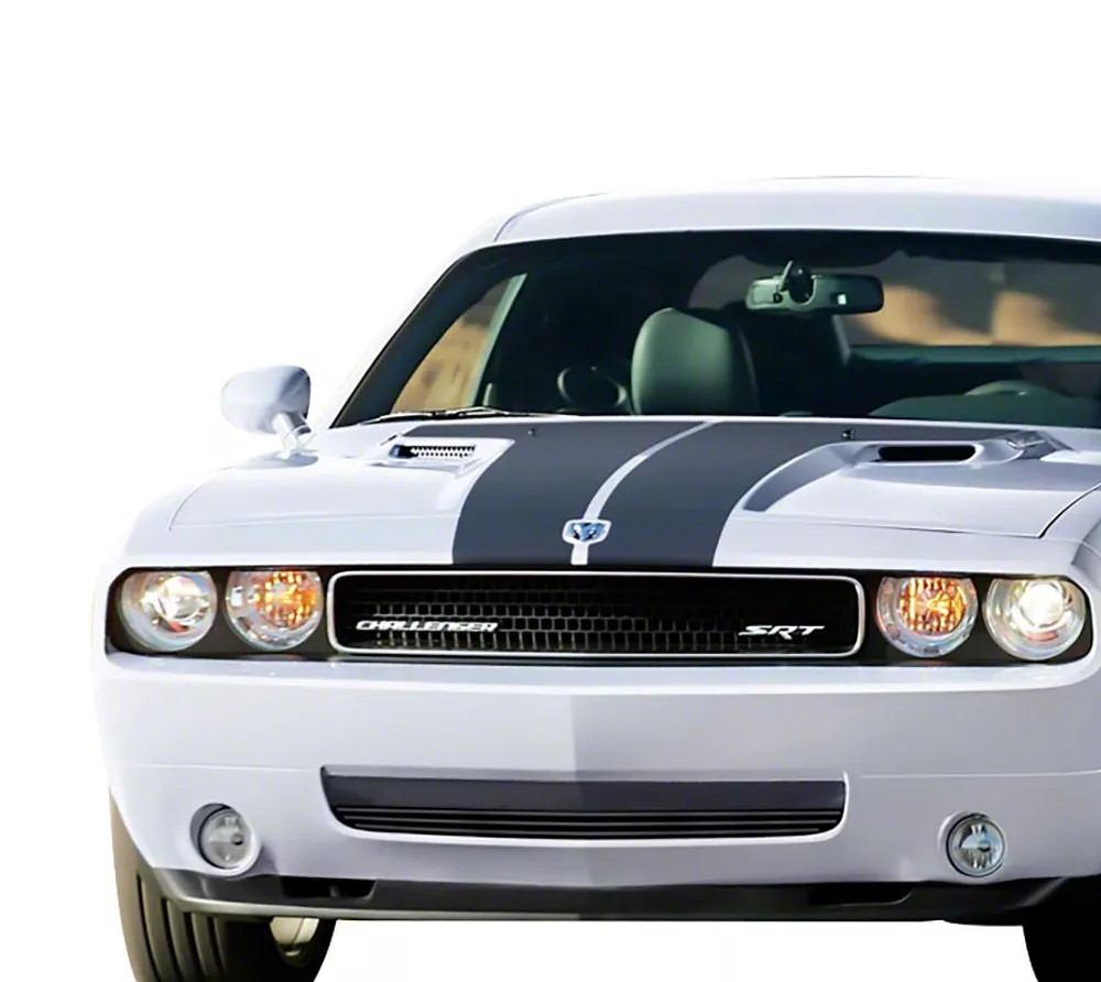 Stainless Steel Billet Lower Grille; Black (08-10 Challenger)