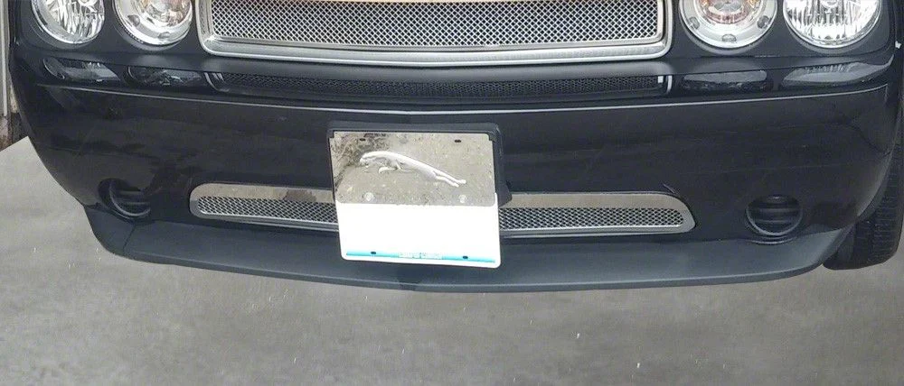 Wire Mesh Upper Grille; Chrome (08-14 Challenger)
