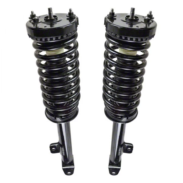 Front Strut and Spring Assemblies (06-10 RWD Charger)