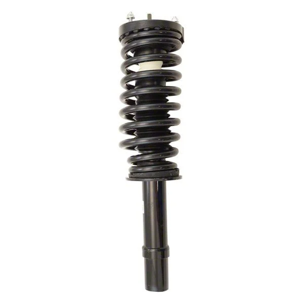 Front Strut and Spring Assembly; Driver Side (06-11 3.5L AWD Charger)