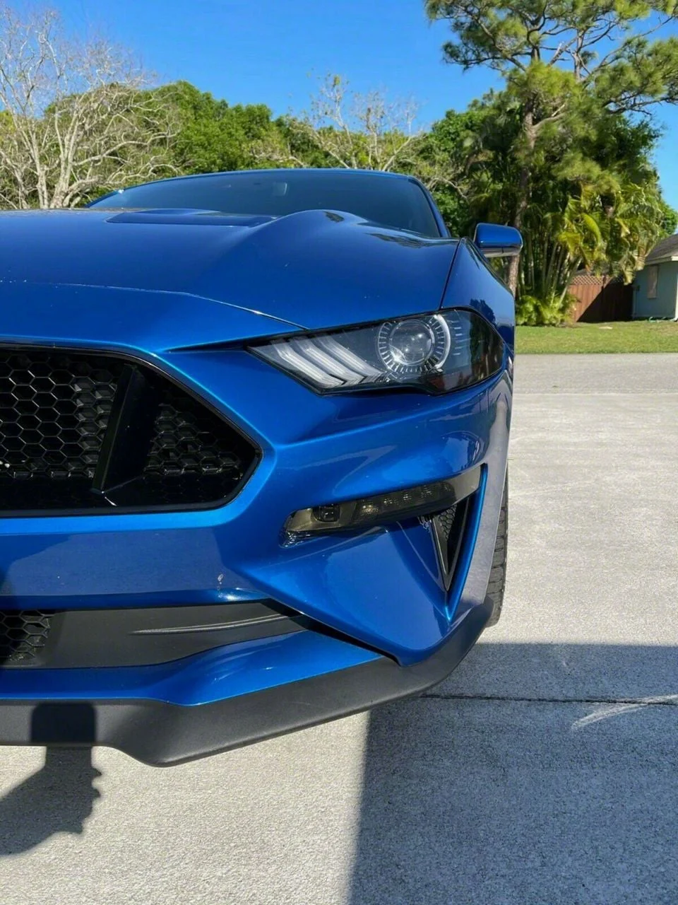 Front and Rear Lens Vinyl Tint Kit (18-23 Mustang GT, EcoBoost)