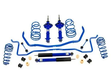 Roush Stage 2 Suspension Kit (05-10 Mustang GT)